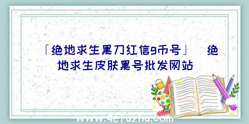 「绝地求生黑刀红信g币号」|绝地求生皮肤黑号批发网站